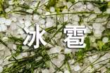 梦见下冰雹是什么意思