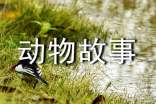 来来的动物故事(精选12篇)