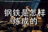 《钢铁是怎样炼成的》初中读后感800字(通用11篇)