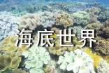 《海底世界》获奖说课稿(精选12篇)
