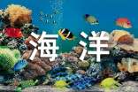 海洋馆收获日记400字(精选16篇)