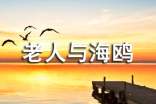 小学五年级下《老人与海鸥》课堂实录