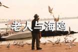 《老人与海鸥》五年级读后感500字