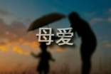读《超越血缘的母爱》有感500字范文