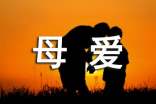 有母爱相伴滋味长作文(精选27篇)
