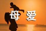 母爱的那些事