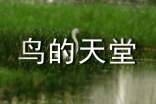 关于鸟的天堂的阅读理解