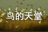 鸟的天堂教学反思(通用10篇)