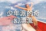 少年派的奇幻漂流记观后感(精选12篇)