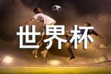 我家的超级世界杯迷