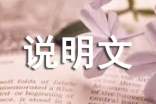 初二说明文作文500字(精选50篇)