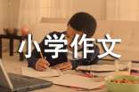 一个难忘的夜晚小学作文(精选35篇)