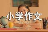 假如我有一盏阿拉丁神灯小学作文