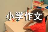 值周生的苦与乐小学作文(通用25篇)