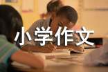 我们班的故事大王小学作文(精选43篇)