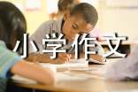 值周小学作文(精选16篇)