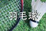 精彩的羽毛球赛