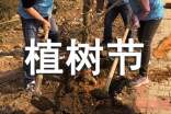 3.12植树节谚语210句