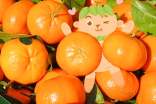 美味的橘子作文(精选41篇)
