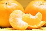 橘子的说明文(精选36篇)