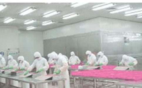 2015生产车间员工转正自我鉴定