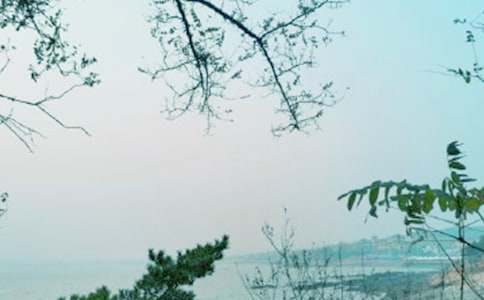 写春风的优美句子