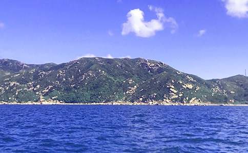 初三我爱大海作文