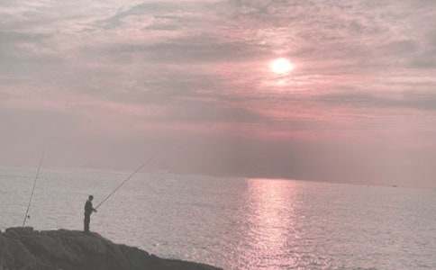 500字作文:暑假钓鱼记(7篇)