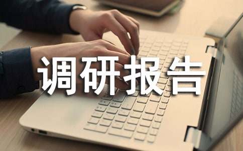 2015新农村工作调研报告