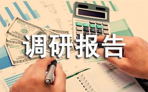 2015年县扶贫工作调研报告