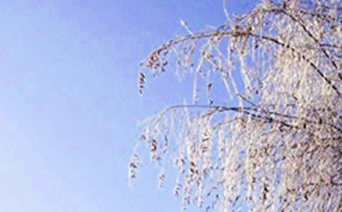 2016年小学生冬天手抄报简单字少