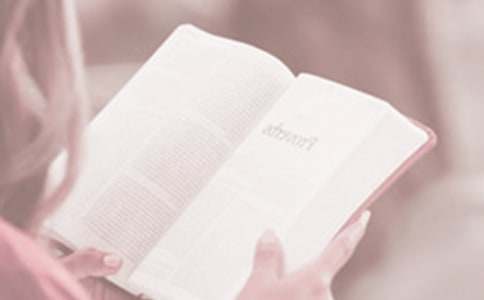 2016幼儿园世界读书日活动方案