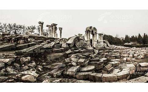 九年级语文下册《废墟的召唤》课文