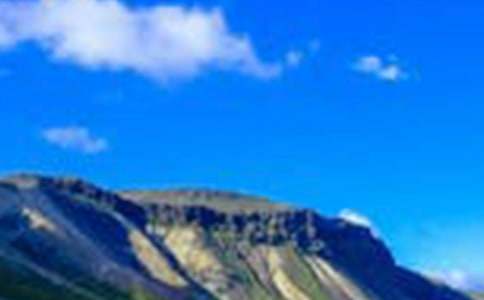 我眼中的风景作文600字【精品】