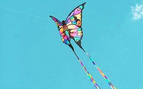 放风筝的作文400字(8篇)