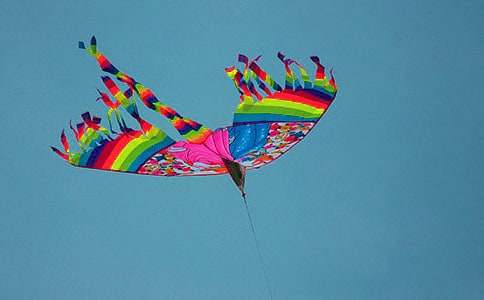 二年级我学会了放风筝300字作文