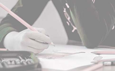 XX镇政府关于2015年工作计划要点的报告