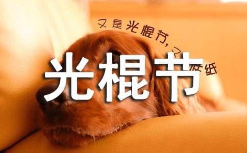 2015大学光棍节联谊晚会活动总结