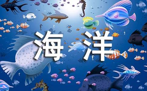 2016年世界海洋日黑板报资料