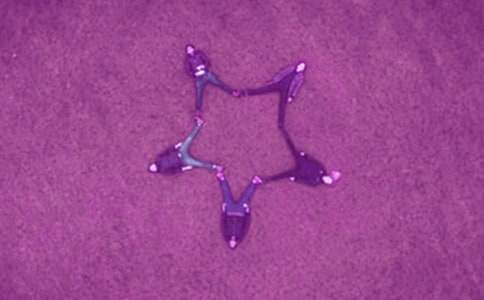 用于给好友空间或者其他地方留言的优美句子