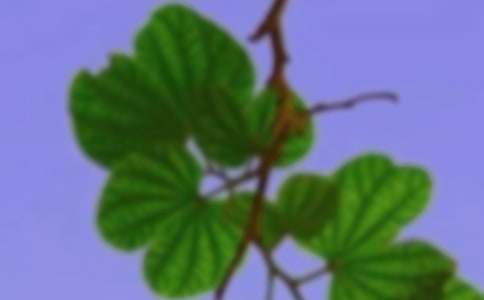 以和谐为话题的作文800字高中