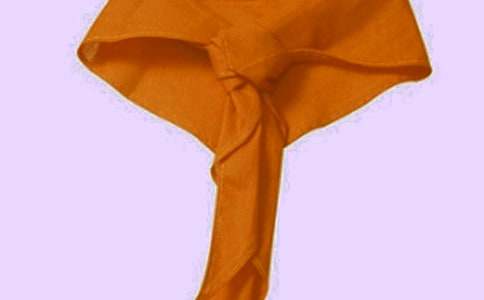 2016年小学生红领巾相约中国梦手抄报