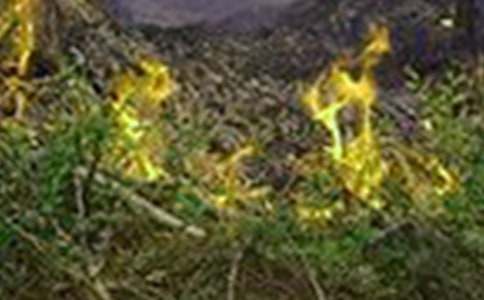 2016关于开展今冬明春火灾防控工作方案