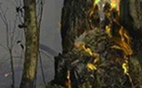 珍爱生命远离火灾征文范文【最新】