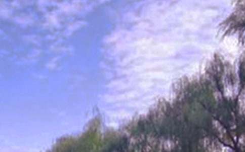 二年级作文描写景色