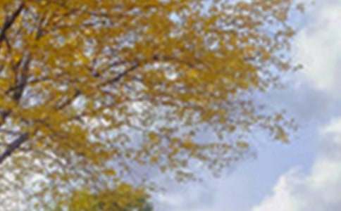 描写四季美丽景色的作文范文