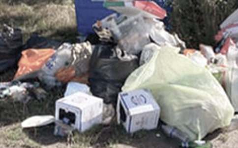 想像作文未来的垃圾桶300字