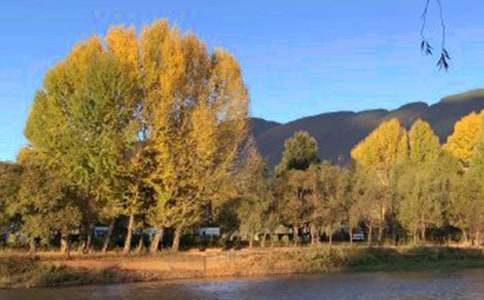 四年级优秀作文——丽江古城导游词