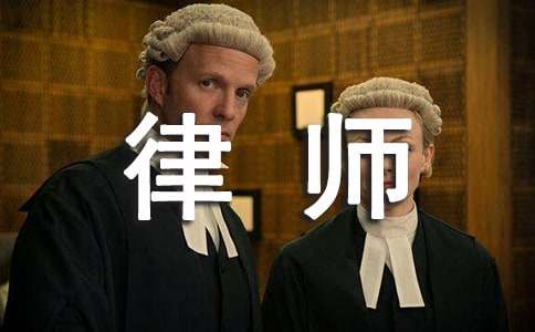 律师初步尽职调查报告