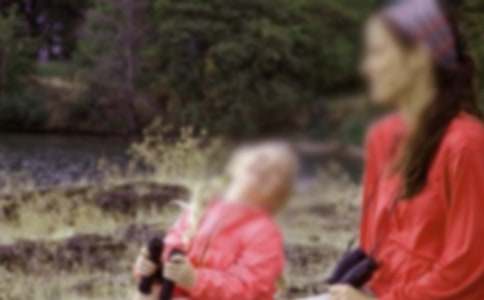 高二我的母亲作文1000字